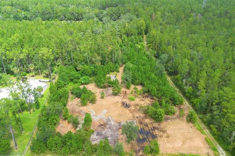 Land in Silver Springs Shores, Florida № 1801335 - photo 17