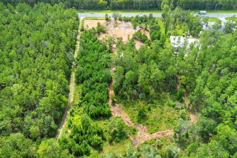 Land in Silver Springs Shores, Florida № 1801335 - photo 7