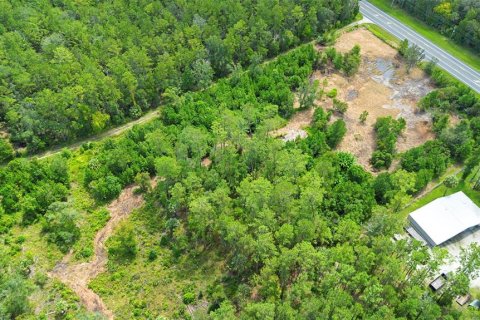 Land in Silver Springs Shores, Florida № 1801335 - photo 5