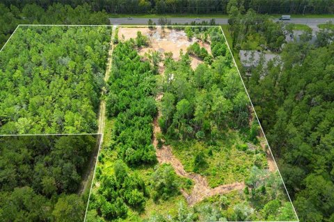 Land in Silver Springs Shores, Florida № 1801335 - photo 2