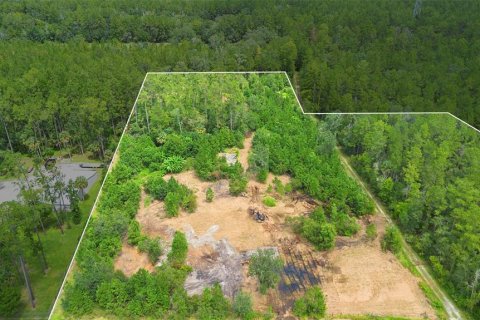 Land in Silver Springs Shores, Florida № 1801335 - photo 4