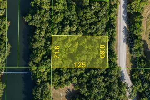 Land in Port Charlotte, Florida № 2344727