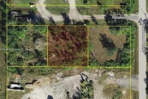 Land in Punta Gorda, Florida № 2164334 - photo 2