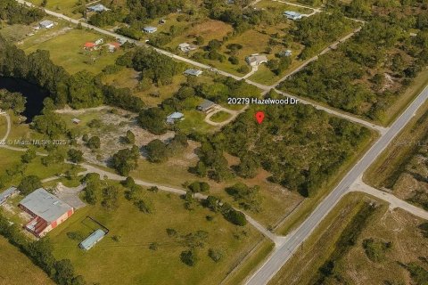 Land in Punta Gorda, Florida № 2164334 - photo 4