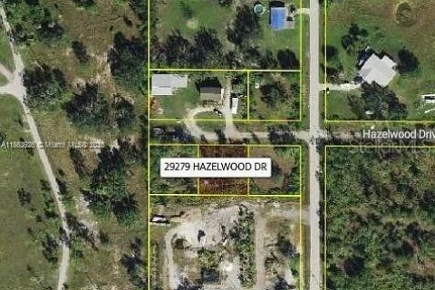 Land in Punta Gorda, Florida № 2164334 - photo 3