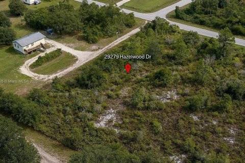 Land in Punta Gorda, Florida № 2164334