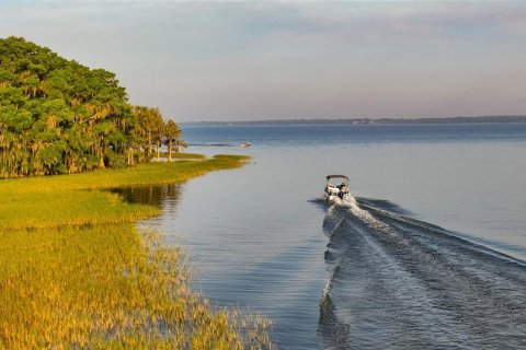 Villa ou maison à vendre à Tavares, Floride: 3 chambres, 257.9 m2 № 2230140 - photo 29