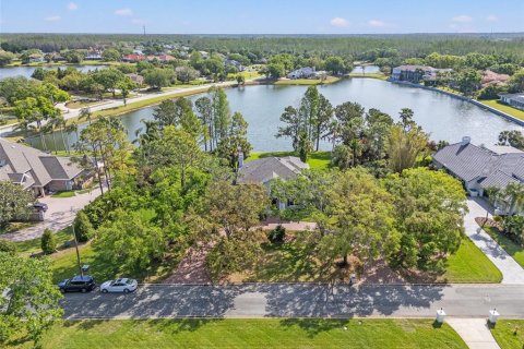 Casa en alquiler en Lutz, Florida, 5 dormitorios, 386.19 m2 № 1907792 - foto 3
