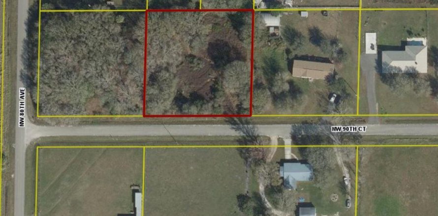 Terreno en Okeechobee, Florida № 1185292