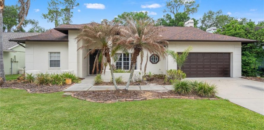House in Valrico, Florida 4 bedrooms, 221.01 sq.m. № 2112512