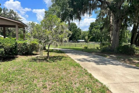 Casa en alquiler en Ocala, Florida, 4 dormitorios, 761.24 m2 № 1778240 - foto 5