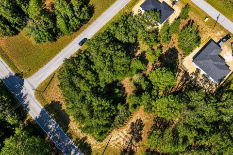 Land in Dunnellon, Florida № 2163596 - photo 3