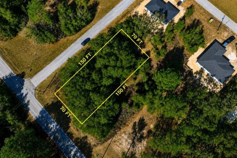 Land in Dunnellon, Florida № 2163596 - photo 2