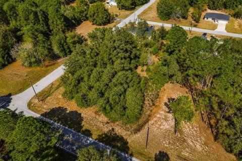 Land in Dunnellon, Florida № 2163596 - photo 4