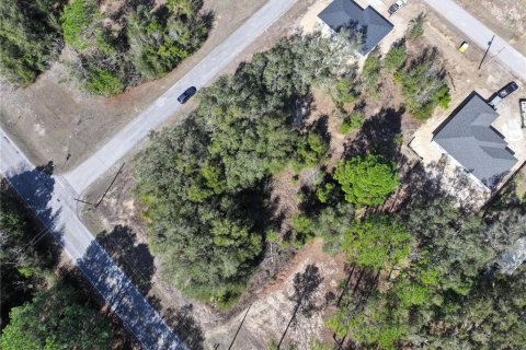 Land in Dunnellon, Florida № 2163596 - photo 6