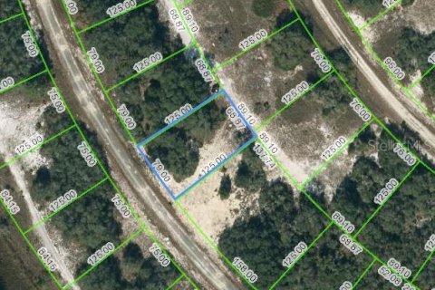 Land in Lake Placid, Florida № 2223978 - photo 2