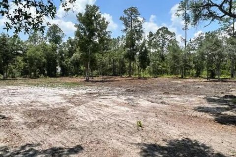 Terreno en venta en Keystone Heights, Florida № 772101 - foto 1