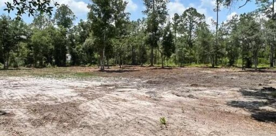 Terreno en Keystone Heights, Florida № 772101