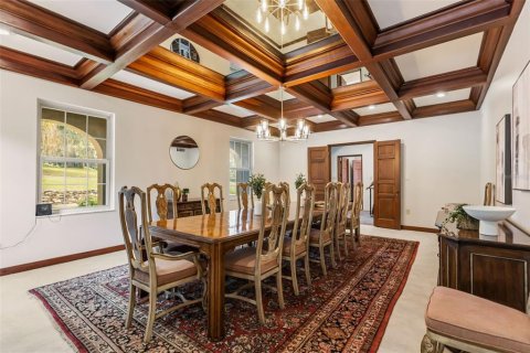 Villa ou maison à vendre à Eustis, Floride: 4 chambres, 568.65 m2 № 2097082 - photo 12