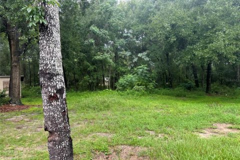 Casa en alquiler en Silver Springs Shores, Florida, 3 dormitorios, 203.27 m2 № 1849559 - foto 3