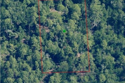 Land in Crystal River, Florida № 2158673 - photo 2