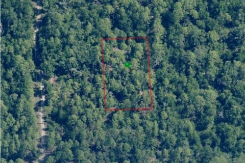 Land in Crystal River, Florida № 2158673