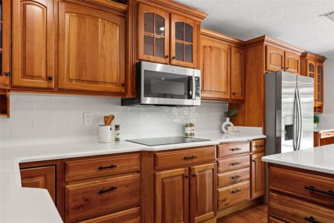 House in Lutz, Florida 4 bedrooms, 285.3 sq.m. № 1586534 - photo 25