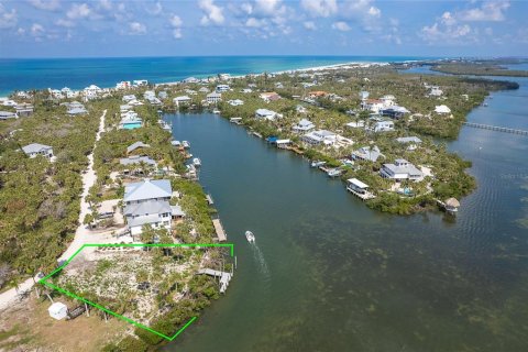 Land in Placida, Florida № 1750179 - photo 20