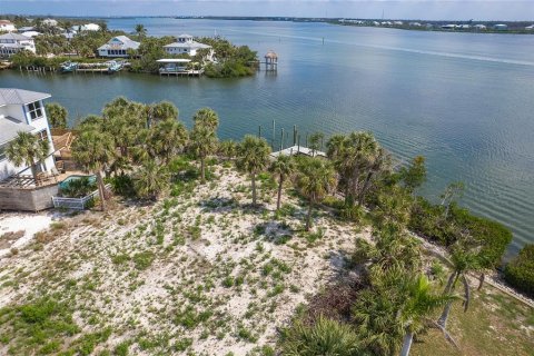 Land in Placida, Florida № 1750179 - photo 23