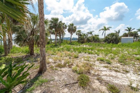 Land in Placida, Florida № 1750179 - photo 16
