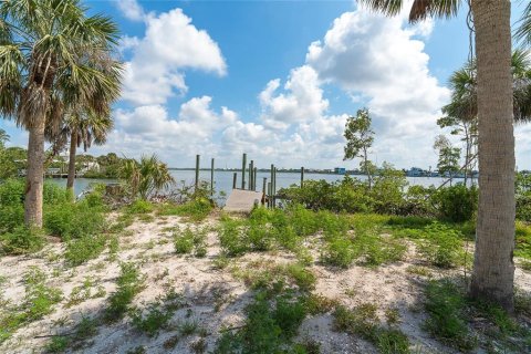 Land in Placida, Florida № 1750179 - photo 15