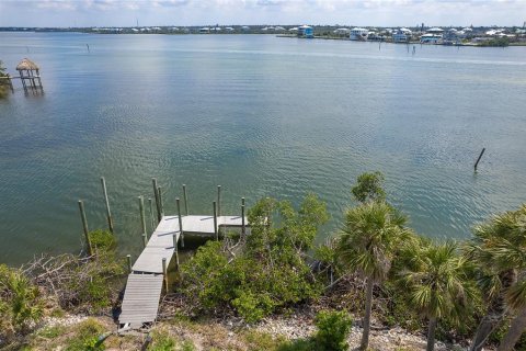 Land in Placida, Florida № 1750179 - photo 25