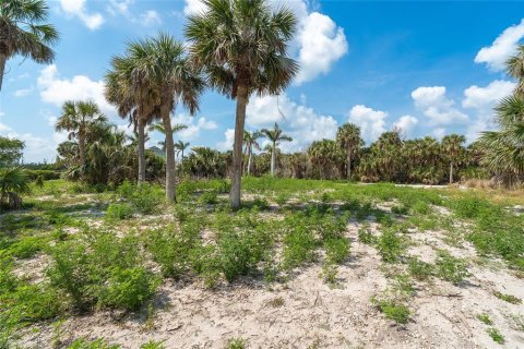 Land in Placida, Florida № 1750179 - photo 14