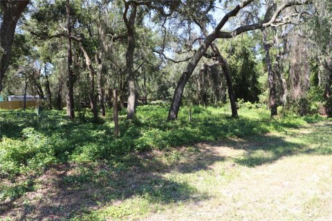 Terreno en venta en Melrose, Florida № 1377770 - foto 3