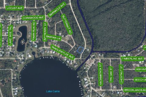 Terreno en venta en Lake Placid, Florida № 2213694 - foto 3