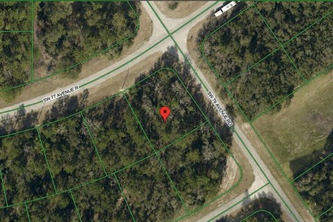 Land in Ocala, Florida № 2220974