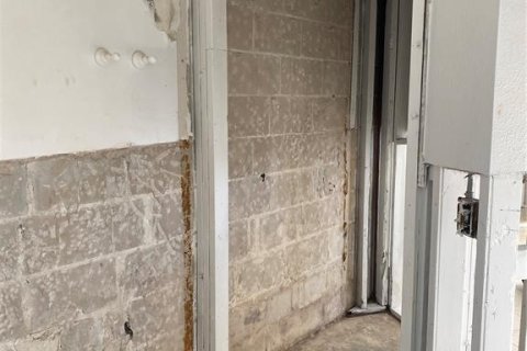 Condo in Dunedin, Florida, 3 rooms  № 1521041 - photo 16