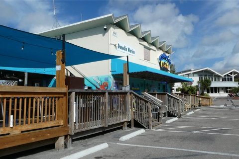 Appartement à louer à Dunedin, Floride: 1 chambre, 51.1 m2 № 2431719 - photo 16