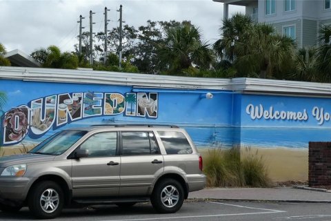 Appartement à louer à Dunedin, Floride: 1 chambre, 51.1 m2 № 2431719 - photo 11