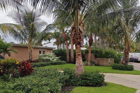 House in West Palm Beach, Florida 3 bedrooms, 189.52 sq.m. № 2401221 - photo 17