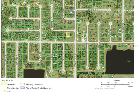 Land in Placida, Florida № 2160493 - photo 3