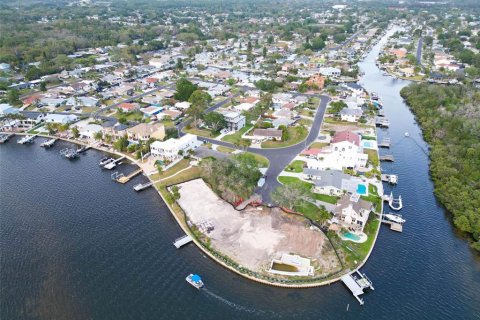 Land in Palm Harbor, Florida № 1593513 - photo 13
