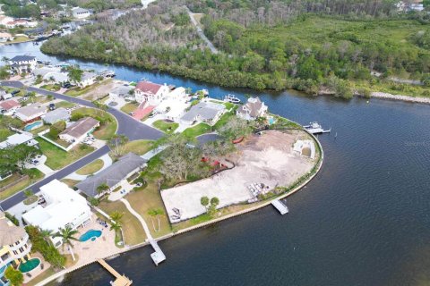 Land in Palm Harbor, Florida № 1593513 - photo 9