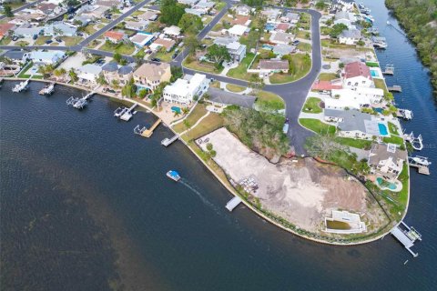 Land in Palm Harbor, Florida № 1593513 - photo 11