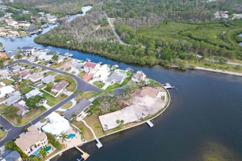 Land in Palm Harbor, Florida № 1593513 - photo 10