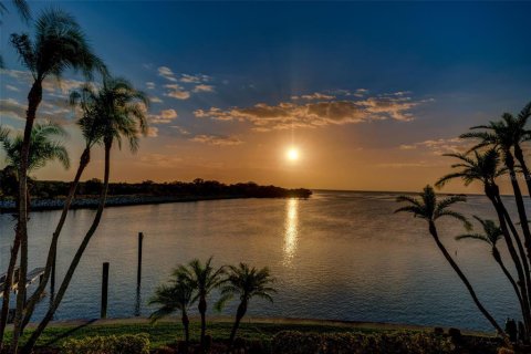 Land in Palm Harbor, Florida № 1593513 - photo 17