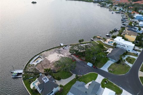 Land in Palm Harbor, Florida № 1593513 - photo 5