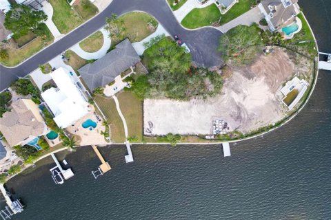 Land in Palm Harbor, Florida № 1593513 - photo 6