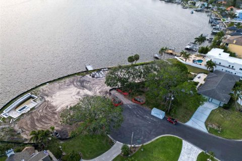 Land in Palm Harbor, Florida № 1593513 - photo 4