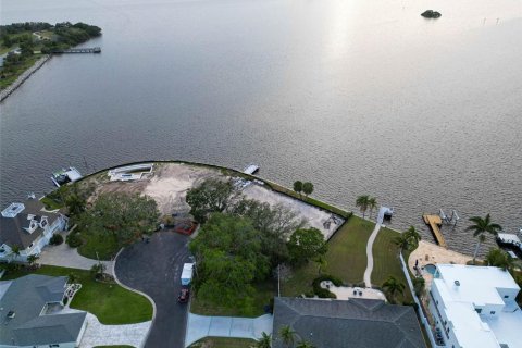 Land in Palm Harbor, Florida № 1593513 - photo 3